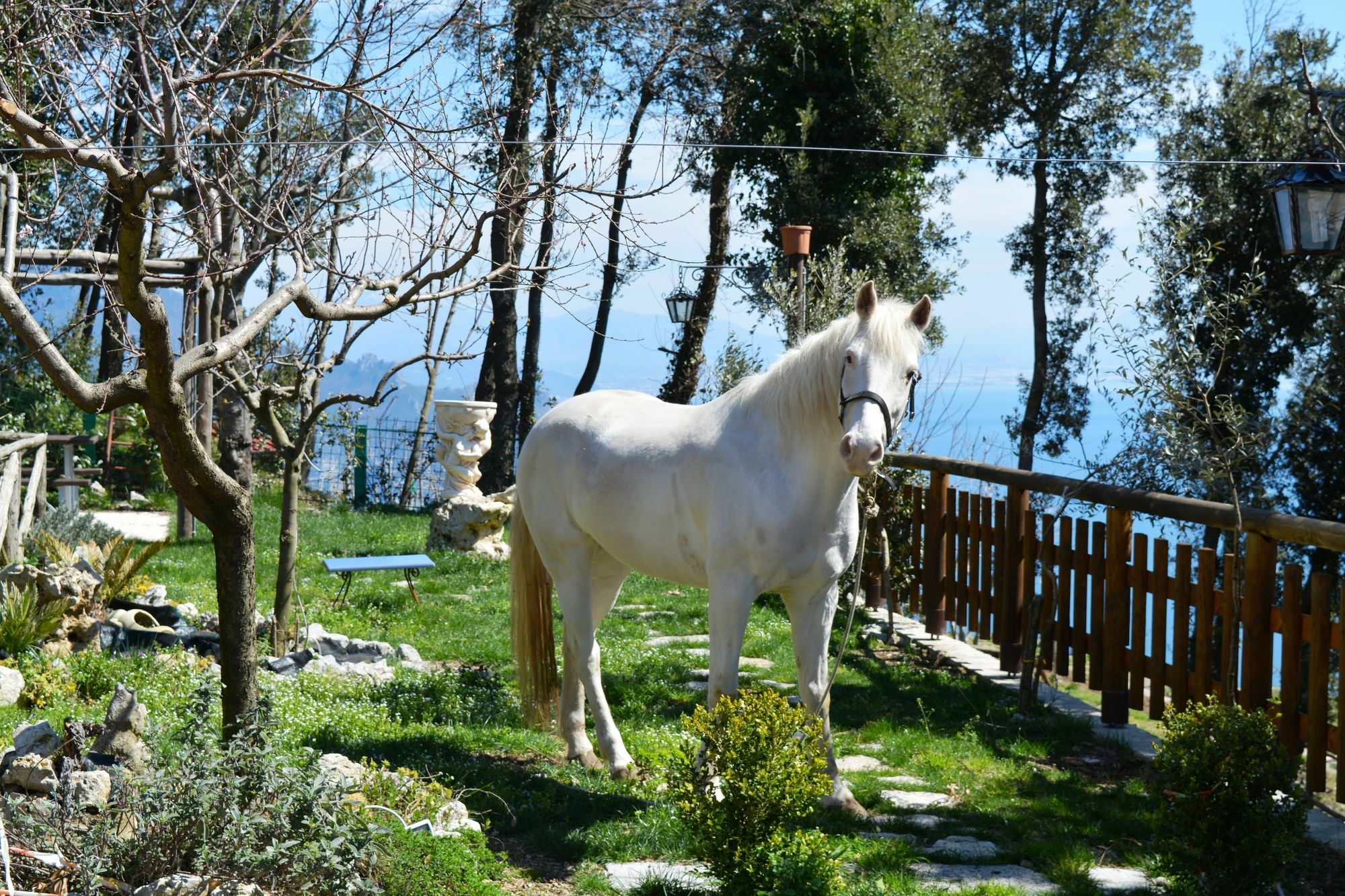 B&B Miramare Agerola Exterior photo